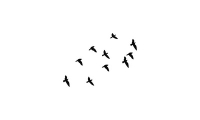 Flying birds silhouettes And Vector illustration.
