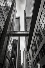 Exploring the urban landscape with towering glass buildings and a suspended walkway connecting structures in a bustling city environment