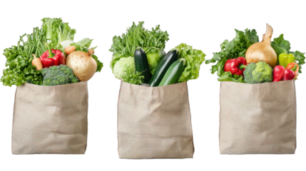 Same shopping bags full of vegetables, displayed on a transparent backdrop.
