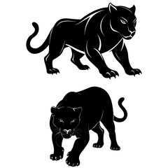 Wild animal black panther silhouette