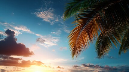 A palm tree frond silhouetted against a vibrant sunset sky, with fluffy clouds and a golden glow.