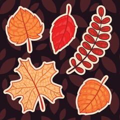 Set of autumn hand painted autumn leaf stickers