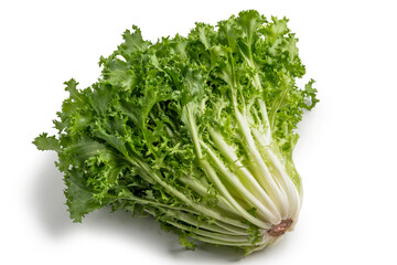 Head of escarole salad