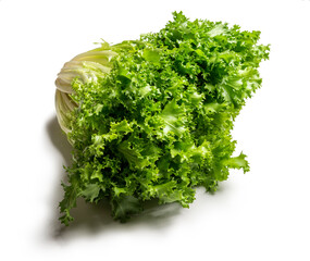 Obraz premium Head of escarole salad