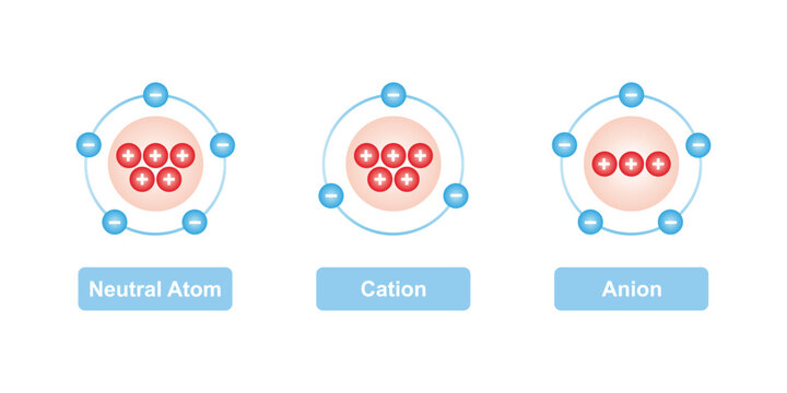 Cation and Anion Structure Scientific Design. Vector Illustration.
