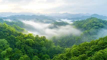 Breathtaking views of lush green mountains surrounded by ethereal fog and misty valleys at dawn