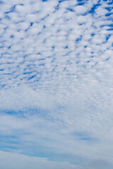 Obraz premium 秋の青空と雲のコントラスト71