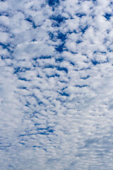 Fototapeta premium 秋の青空と雲のコントラスト75