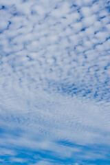 秋の青空と雲のコントラスト74