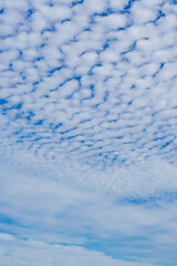 秋の青空と雲のコントラスト70