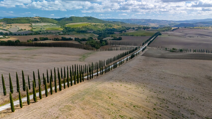 Serene cypress-lined road through the golden fields of Tuscany under a bright blue sky