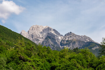 Majestic mountain ridge Maja Boshit towering over alpine forest in Albanian Alps (Accursed Mountains) in Northern Albania. Scenic hiking trail from Valbona to Theth. Wanderlust in alpine wilderness