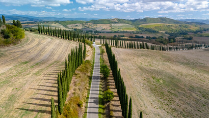 Fototapeta premium Serene cypress-lined road meandering through the rolling hills of Tuscany under a blue sky