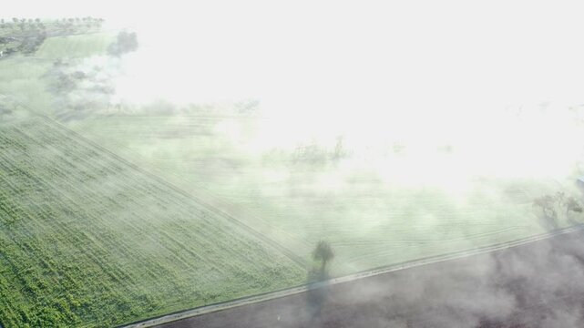 Drohne fliegt &uuml;ber Agrarland mit Nebelschwaden, Herbststimmung, Luftaufnahme