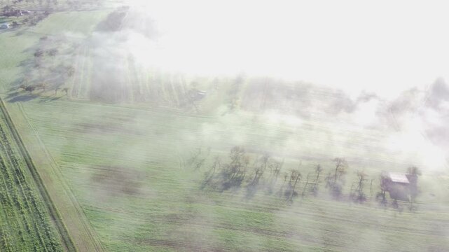 Drohne fliegt &uuml;ber Agrarland mit Nebelschwaden, Herbststimmung, Luftaufnahme
