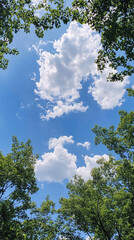 Fototapeta premium Beautiful sky with clouds 