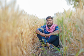 Young Indian smart farmer, wheat farming