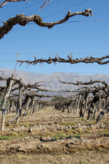 Postals from an amasing trip.