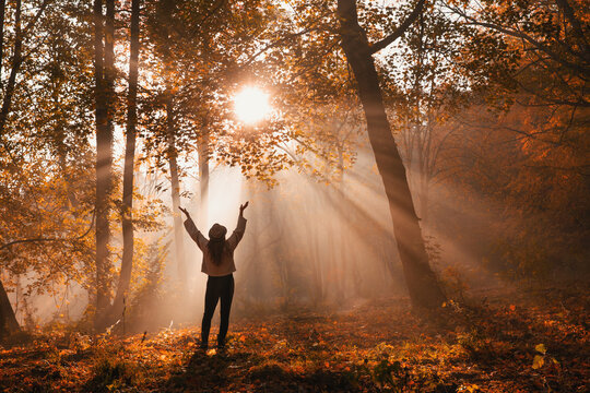 Silhouette of a woman in the forest in the morning mist