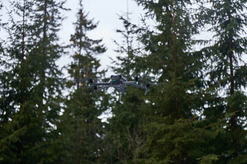 Obraz premium A drone captures aerial views among dense evergreen trees on a cloudy day in the forest. Carpathian Mountains, Ukraine
