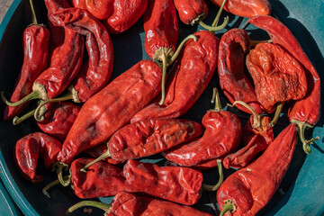 Sun-Dried Red Chilies on Traditional Blue Plate, Pakistani Cuisine Ingredient