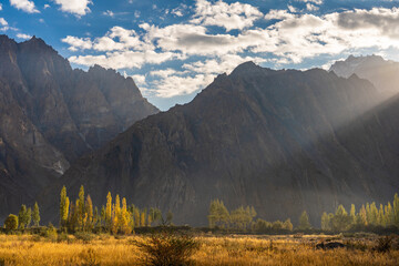 Autumn Splendor golden meadow in the foreground. The vibrant autumn foliage of the trees in Passu, Hunza Nagar,  Gilgit-Baltistan, Pakistan. 