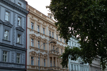There is a captivating row of several buildings, while a majestic tree stands prominently in the foreground, creating a picturesque urban scene