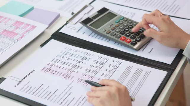 Internal Tax audit review checking ESG data risk in balance sheet prepare annual report GAAP IFRS IAS service. Income growth Cash flow budget work number control wealth for trader system merger study.