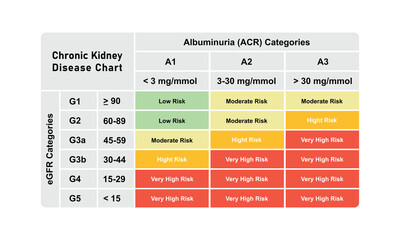 Chronic Kidney Disease (CKD) Stages Scientific Design. Vector Illustration.
