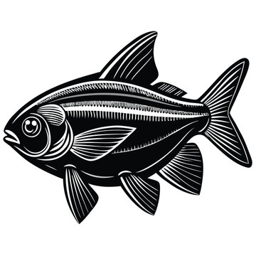 recommend clip art: Neon Tetra fish vector silhouette illustration Isolated white background.