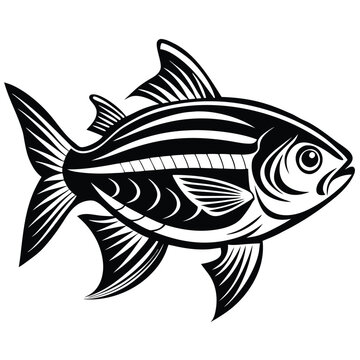 recommend clip art: Neon Tetra fish vector silhouette illustration Isolated white background.