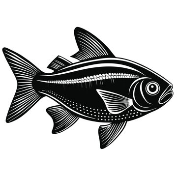 recommend clip art: Neon Tetra fish vector silhouette illustration Isolated white background.