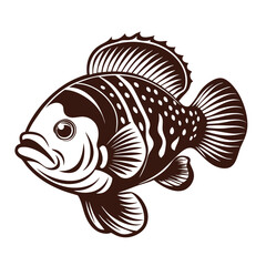 Oscar Fish vector silhouette illustration Isolated white background.