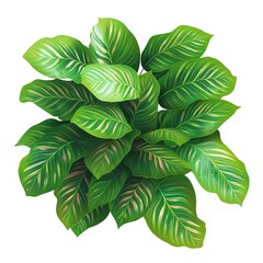 Green leaves cluster, white isolated background.