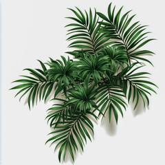 Realistic palm leaf shrubs arranged in a corner on a clean white background.