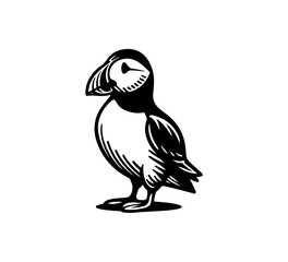 Puffin Hand Drawn vintage Vector Illustration