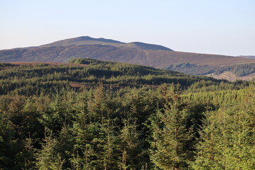 Wicklow Mountains