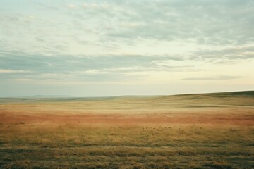 Fototapeta premium A minimal-large grassland landscape outdoors horizon.