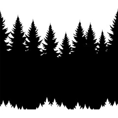 Obraz premium Black and white silhouette of pine trees forming a forest