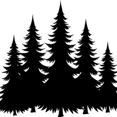 Obraz premium Silhouette of coniferous trees creating a forest landscape