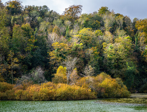 Swanbourne Lake, West Sussex with beautiful autumn colours in the surrounding woodland.