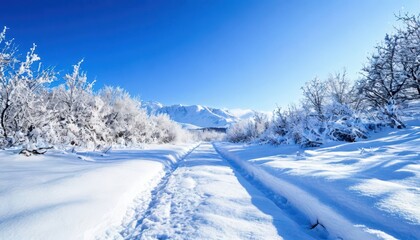 Obraz premium Winter landscape with snow covered trees and mountains