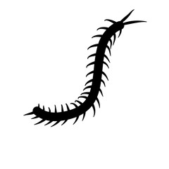 Centipede silhouettes vector