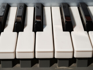 Naklejka premium Piano keys musical instrument 