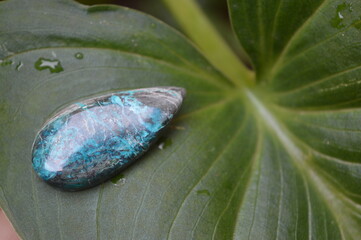 Chrysocolla gem on green background 