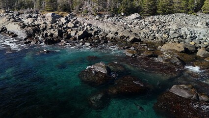 Fototapeta premium Seals on the rock in the ocean in Newfoundland