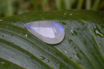 Moonstone mineral gem on green background 