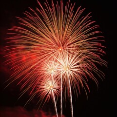Fototapeta premium fireworks in the night sky