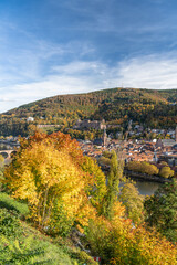 View of Heidelberg in autumn season