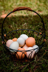 A basket of multi-colored eggs